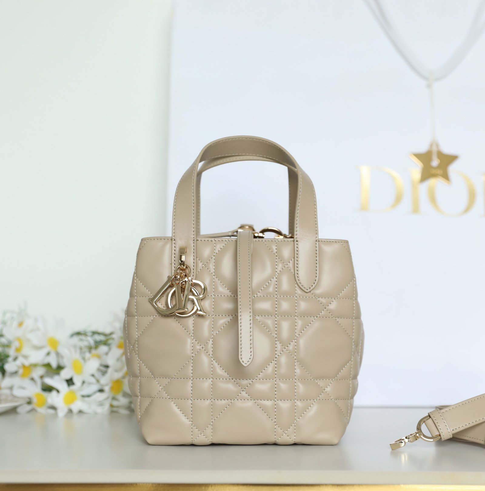 Small DIOR TOUJOURS Vertical Tote Bag (Powder Beige Calfskin) detail image 1 sourced from womanlvbag.com