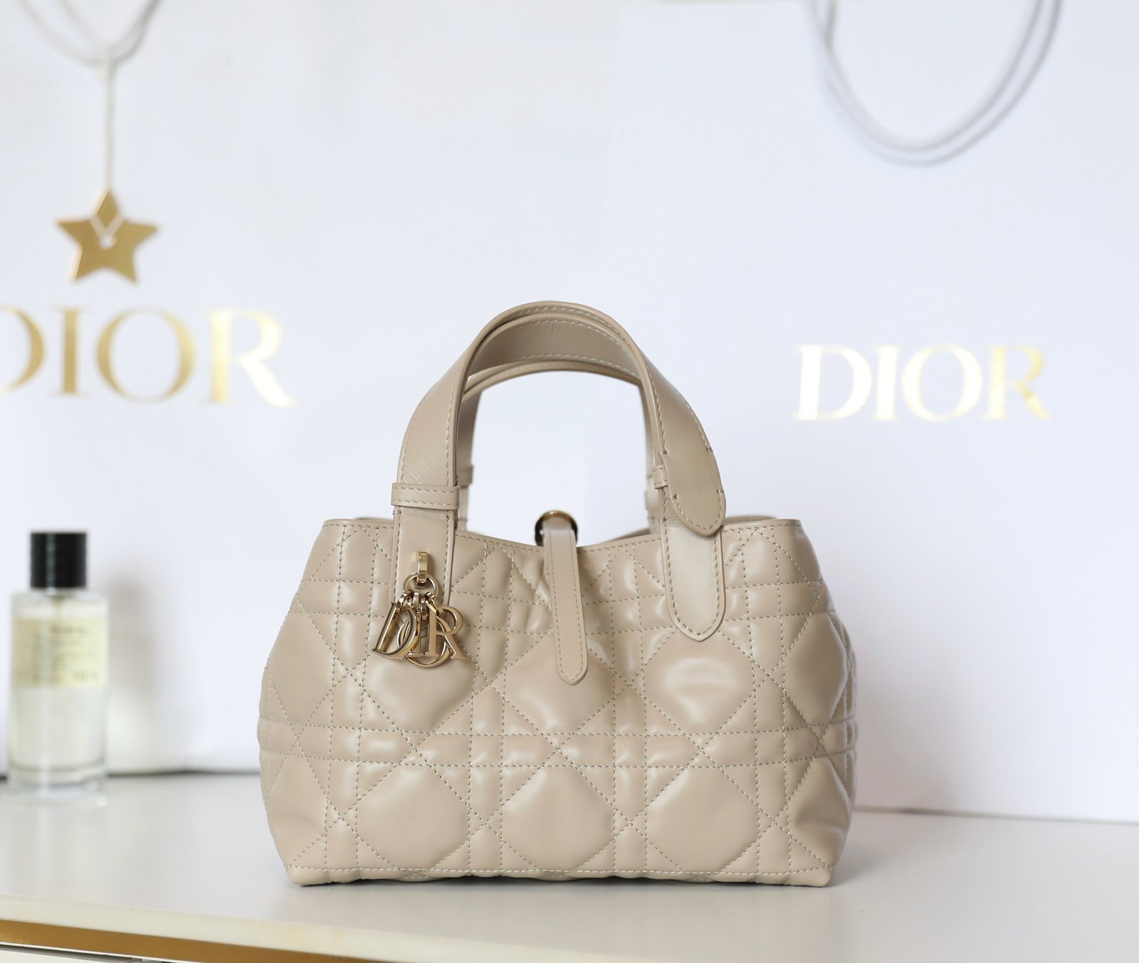 Small DIOR TOUJOURS Bag (Apricot/Beige Calfskin) detail image 1 sourced from womanlvbag.com