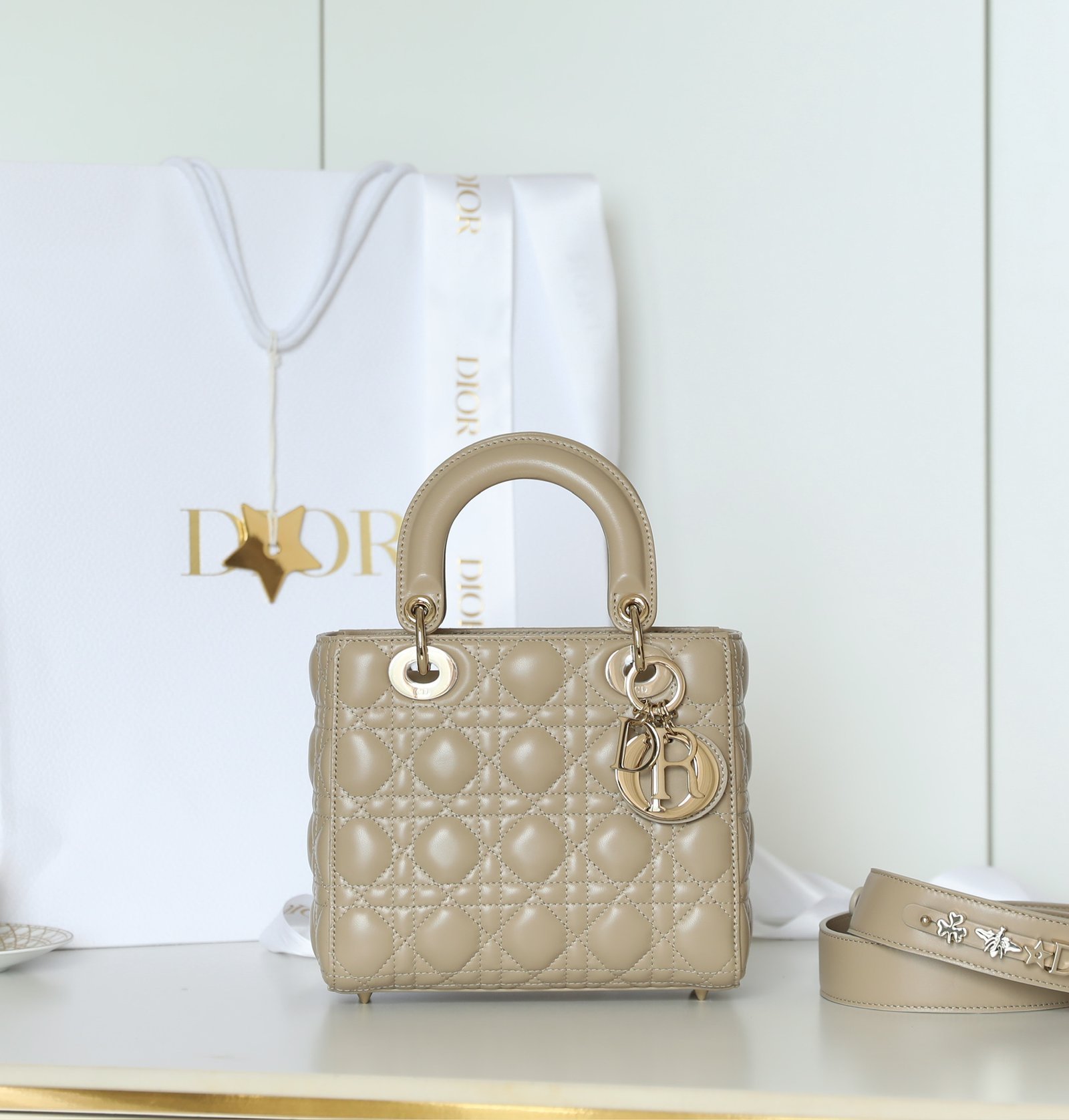 Lady Dior (4-Slot/Small) detail image 1 sourced from womanlvbag.com