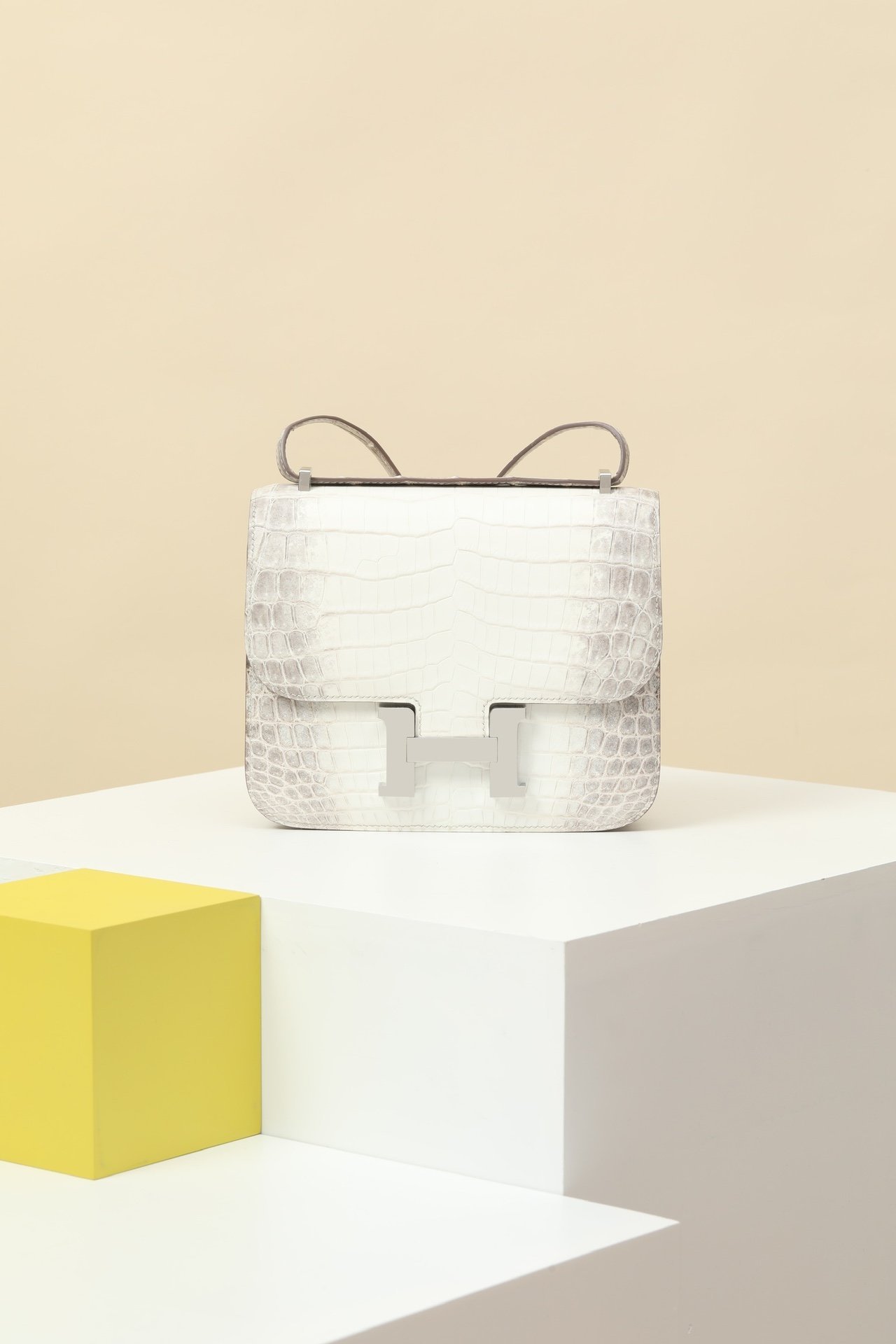 Hermès Constance 19 – Himalayan Niloticus Crocodile PHW detail image 1 sourced from womanlvbag.com