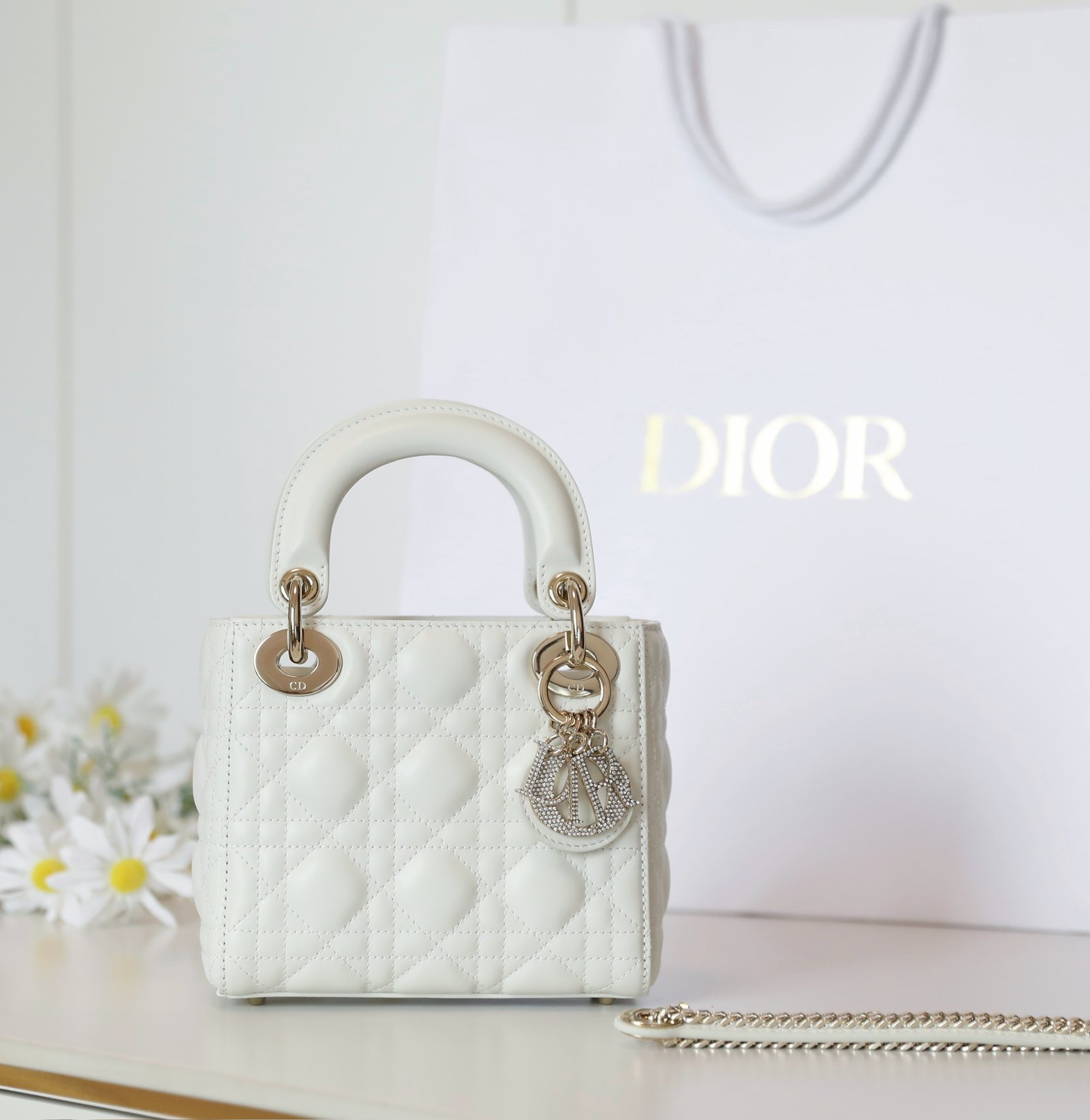 Mini Lady Dior (3-Slot) detail image 1 sourced from womanlvbag.com