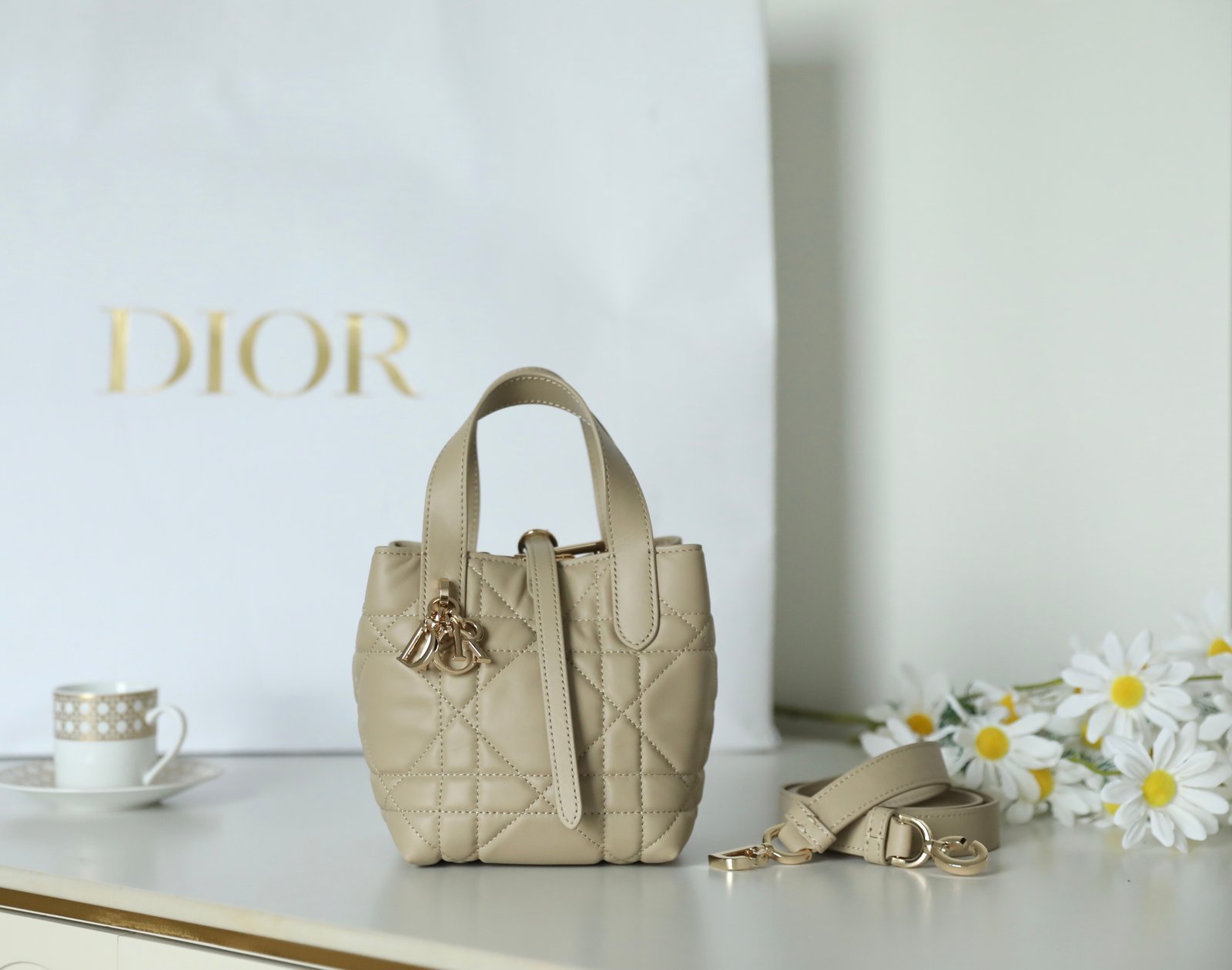 Mini DIOR TOUJOURS Vertical Tote Bag (Apricot Calfskin) detail image 1 sourced from womanlvbag.com
