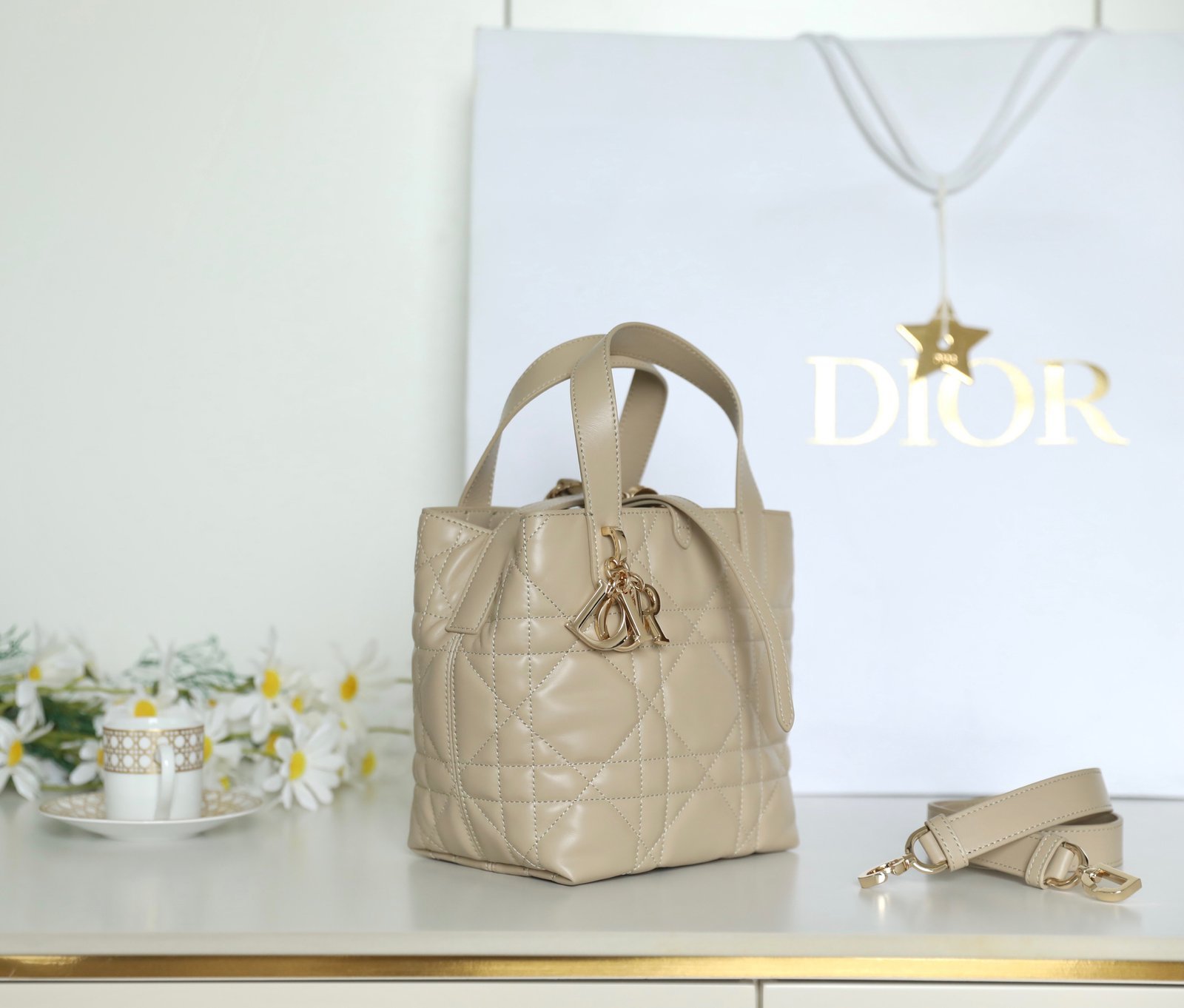 Small DIOR TOUJOURS Vertical Tote Bag (Powder Beige Calfskin) detail image 2 sourced from womanlvbag.com